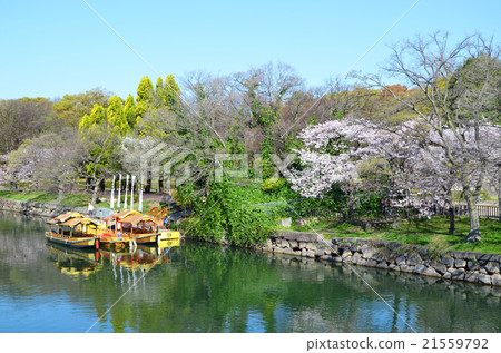 Osaka Castle Park Spring landscape 21559792