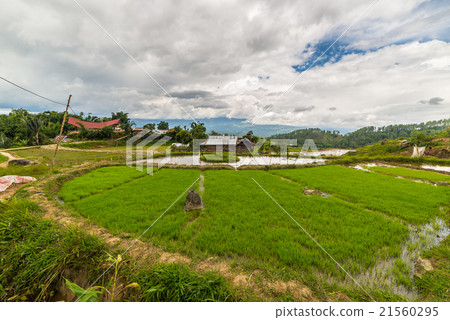 Traditional village Traditional village 21560295