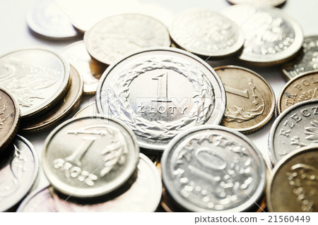 Polish zloty coins, close up 21560449