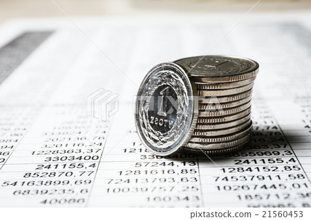 Polish zloty coins, close up 21560453