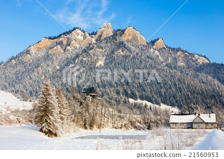 Winter Landscape In Pieniny Mountains, Poland 21560953