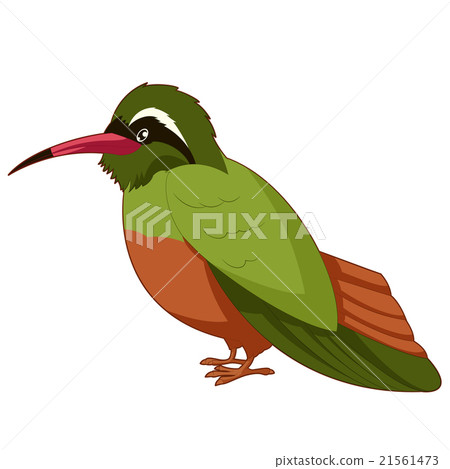 Cartoon smiling Xantus Cartoon smiling Xantus 21561473