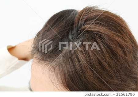 中間女性白髮 21561790