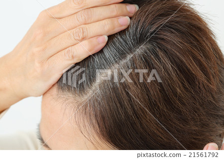 中間女性白髮 中間女性白髮 21561792
