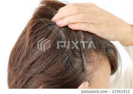 Middle female gray hair Middle female gray hair 21561812