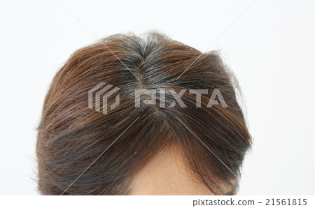 中間女性白髮 21561815