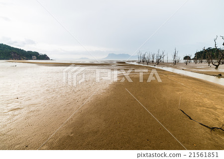 Bako National Park landscape 21561851