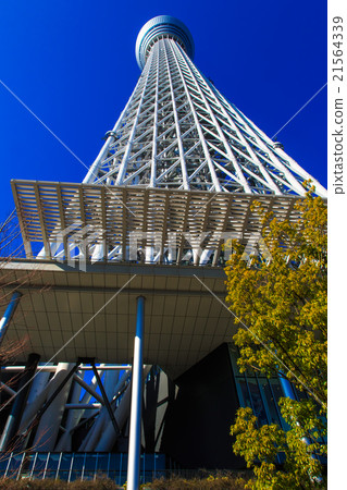 Tokyo Sky Tree 21564339