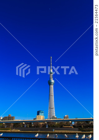 Tokyo Sky Tree 21564473