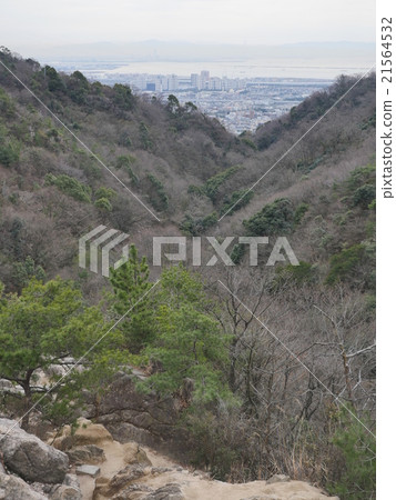 六甲岩石花園 21564532