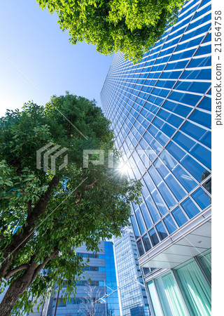 辦公樓和街道樹木 21564758