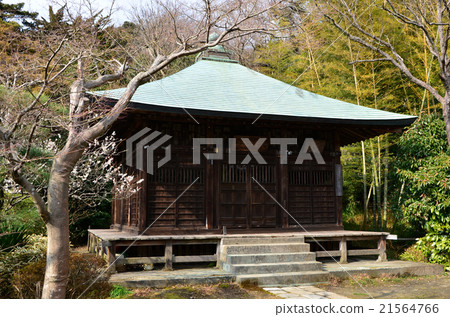 鎌倉純Komyoji寺（2016.2） 21564766