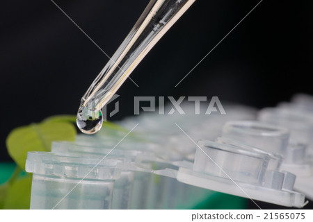 Close-up of microcentrifuge tube Close-up of microcentrifuge tube 21565075