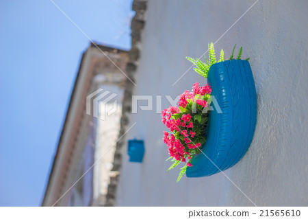 Fake Flowers Blossoming on Wall in Sunlight Fake Flowers Blossoming on Wall in Sunlight 21565610
