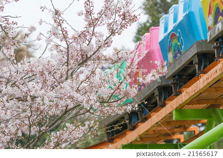 Lacquetch coaster 21565617