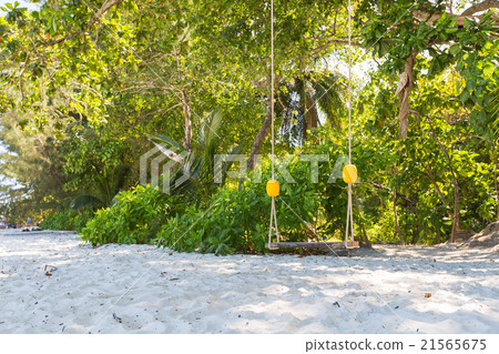 Swing under a tree on the beach. Swing under a tree on the beach. 21565675