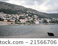 The port of Dubrovnik 21566706