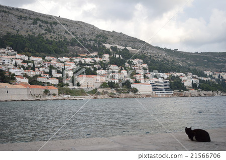 The port of Dubrovnik The port of Dubrovnik 21566706