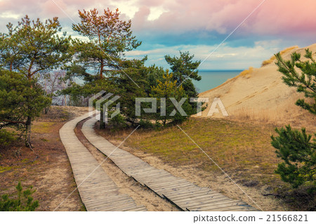Two wooden pathways in park Two wooden pathways in park 21566821