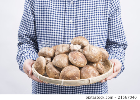 A woman with mushrooms A woman with mushrooms 21567040