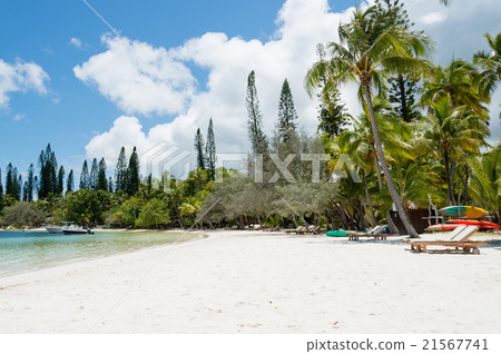 Cannemera · Beach (New Caledonia, IL · DE · PAN) Cannemera · Beach (New Caledonia, IL · DE · PAN) 21567741