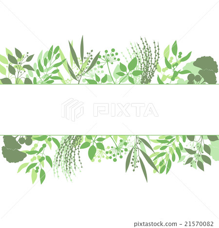 Green rectangle frame with collection of plants Green rectangle frame with collection of plants 21570082
