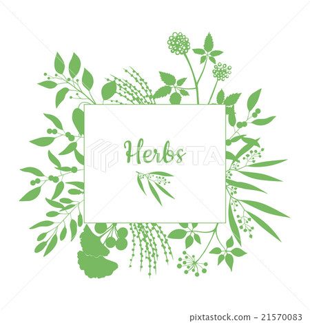 Green square frame with collection of plants Green square frame with collection of plants 21570083
