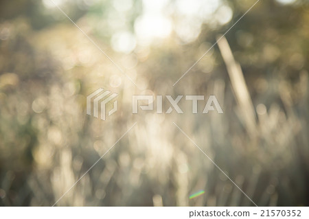 Autumn droplet bokeh  blurred vintage background 21570352