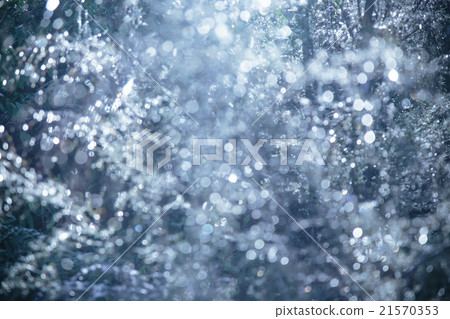 Winter leaves blurred vintage background 21570353