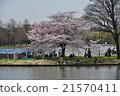 Spring ramen, cherry blossoms gathering at Mizumoto Park 21570411