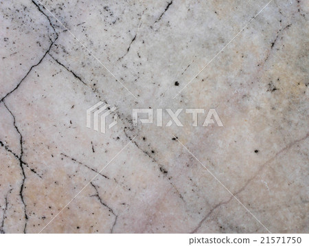 white marble stone texture 21571750