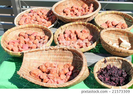 Umishi生魚片乾燥器 Umishi生魚片乾燥器 21573309