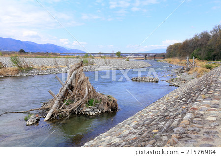 Shinsuke，防洪，牛的措施。 21576984