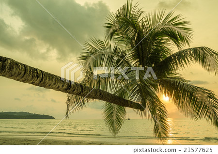 Retro style image of tropical island beach 21577625