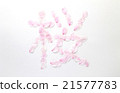 櫻花花瓣字母（櫻花） 21577783