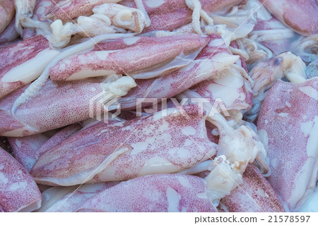 Fresh frozen squid on ice. Fresh frozen squid on ice. 21578597