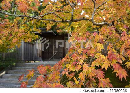 Shogakuin Imperial Palace Imperial Palace Omiyukon Shogakuin Imperial Palace Imperial Palace Omiyukon 21580038