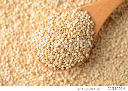 Quinoa 21580914