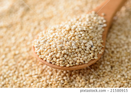 Quinoa Quinoa 21580915
