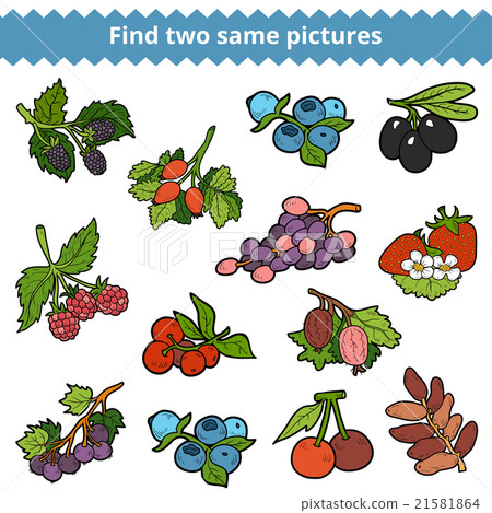 Find two same pictures. Vector set of berries Find two same pictures. Vector set of berries 21581864