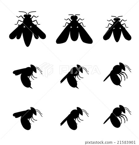 Bee icons in silhouette, Top and side view Bee icons in silhouette, Top and side view 21583901