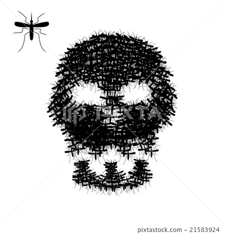 Skull of mosquito isolated on white, vector 21583924