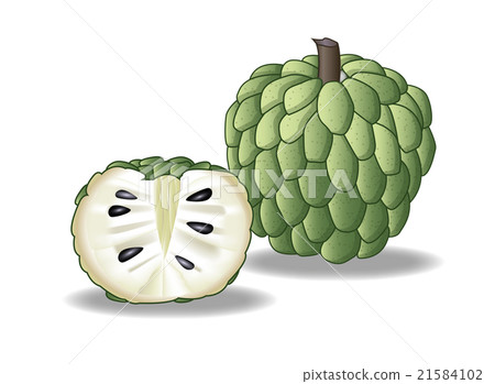 custard apple 21584102