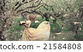 Soft spring tenderness 21584808