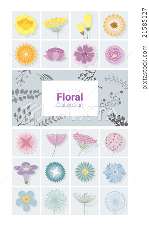 Colorful floral collection Colorful floral collection 21585127
