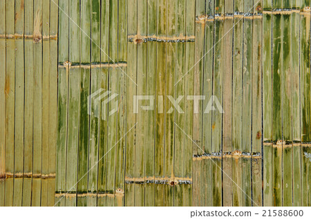 bamboo green background bamboo green background 21588600