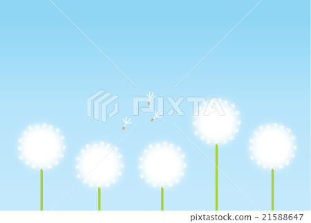 Dandelion Dandelion 21588647