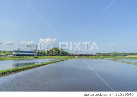 Rural scenery of spring in Chiba Rural scenery of spring in Chiba 21589546