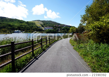 Road along Shirakabako lake 21590392
