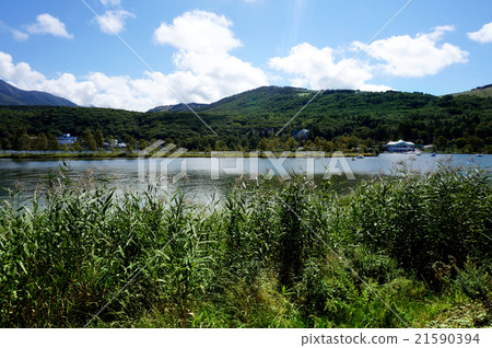 Lake Shirakaba and Susuki Plateau 21590394